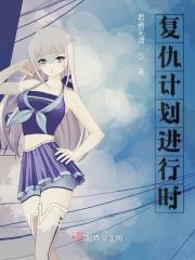 美国电影复仇计划3