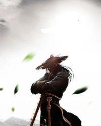 官婿陈志远林之雅最新章节