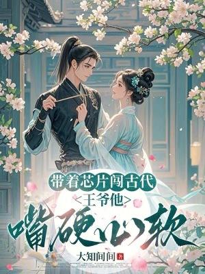 带着芯片穿越赵煦起点