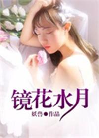 镜花水月的成语