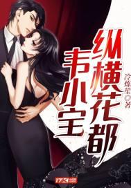 韦小宝纵横都市